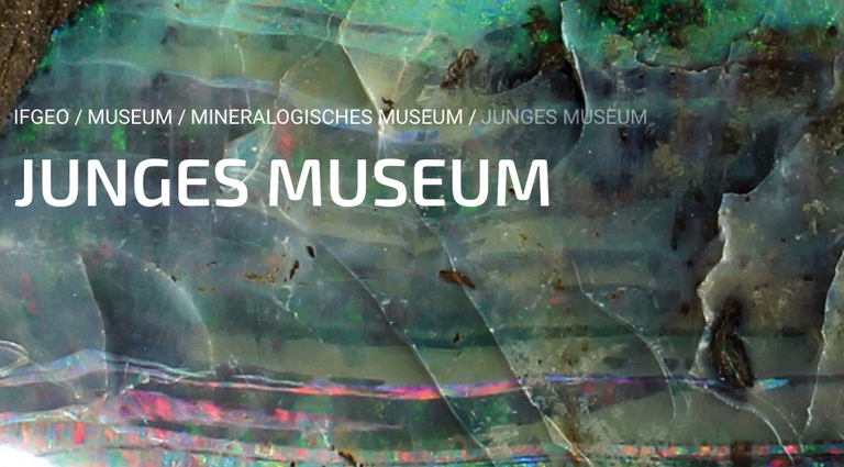 Junges Museum