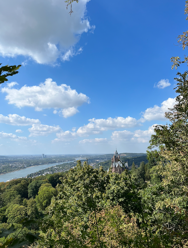 Blick auf Bonn_Drachenfels.png