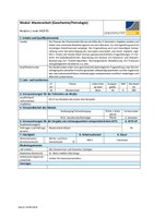 MGP09_Masterarbeit_Geochemie_Petrologie.pdf