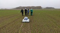 Georadar (GPR) measurements in light snowfall